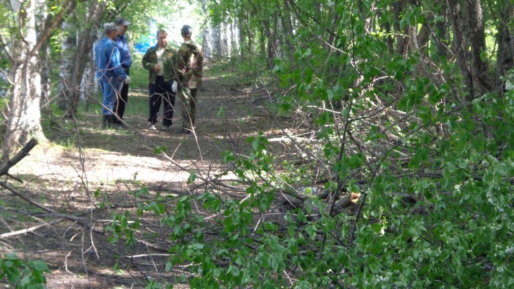 Благоустройство поселения 2013.