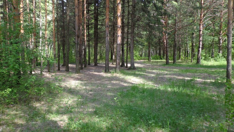 Благоустройство поселения 2013.